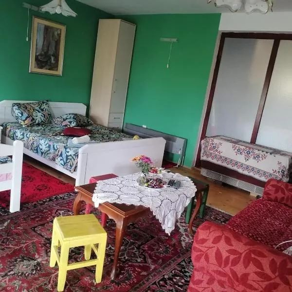 Vila Seoska idila, hotel v destinaci Izvor