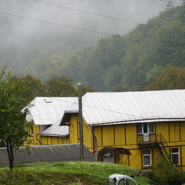 Дім з видом на гори., hotel in Vizhenka