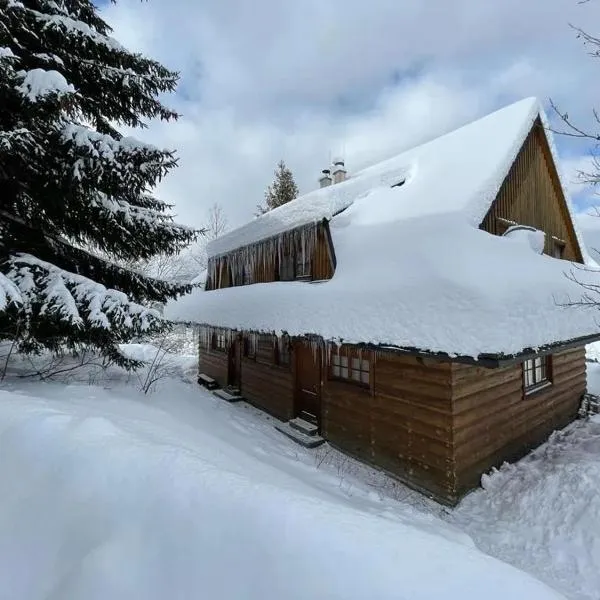 Chata Vŕšky Terchová, hotel in Terchová