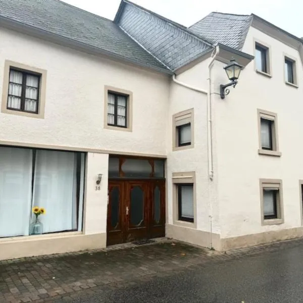 Großzügiges Haus in Moselnähe, hotell sihtkohas Neumagen-Dhron