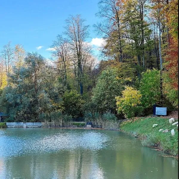 Orlyne Gnizdo, hotel v destinaci Černovice