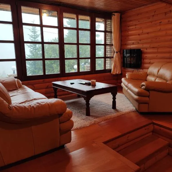 ''Nest'' The Wooden Suite by Ski Alure, hotel v destinaci Eptalofos