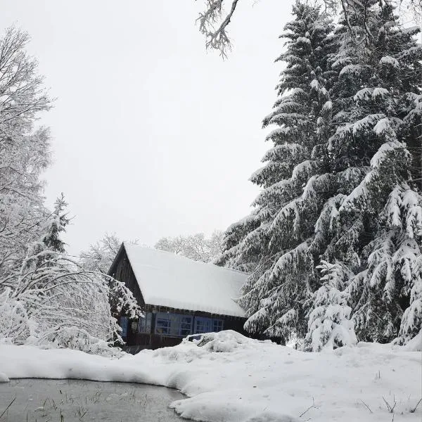 Casuta dintre brazi, hotel in Râșca