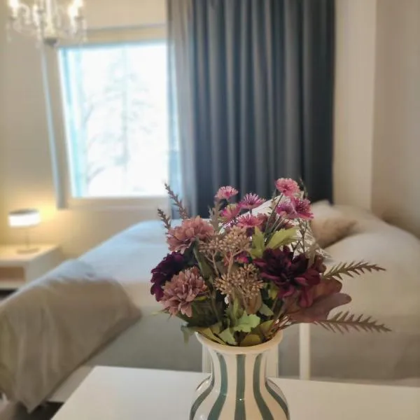 Kampuksen Hertta, hotel din Pori