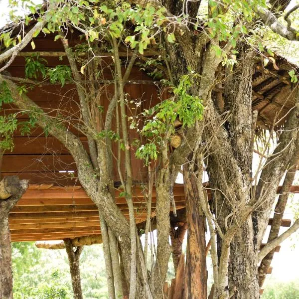 Habarana Wildwood Treehouse, hotel v destinaci Habarana