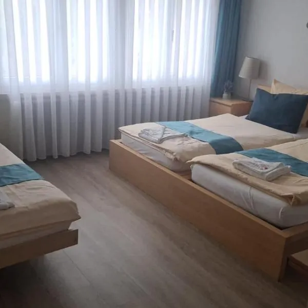 Zak Neuhausen, hotel v destinaci Neuhausen am Rheinfall