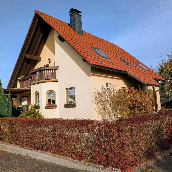 Schöne 2-Raumwohnung inklusive Infrarot-Wärmekabine, hotel a Großröhrsdorf