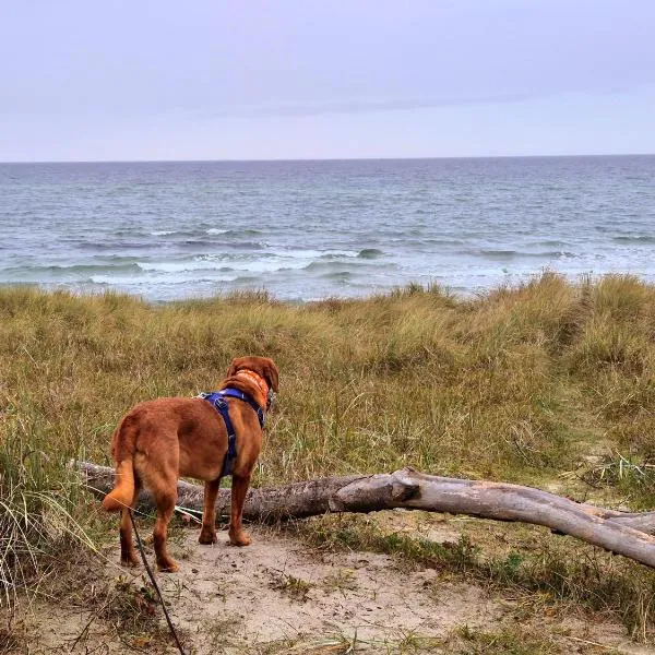 Appartementhaus Zingst 3 - Urlaub zwischen Meer & Bodden, Hotel in Zingst