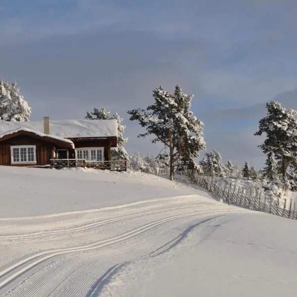 Løstegård hytter at the top of Golsfjellet, отель в городе Гуль