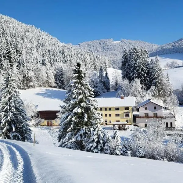 Biohof Teufel, hotel v destinaci Lunz am See
