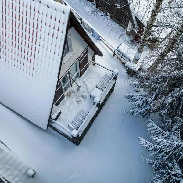 Holiday Cottage Pedja, hotel in Kopaonik