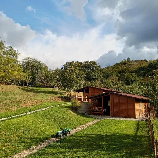 Brvnare Duguljac Fruška Gora, hotel v destinaci Bukovac