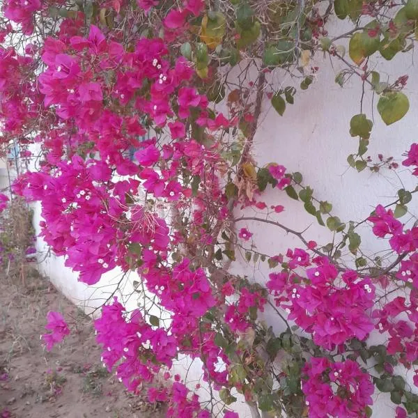 Residence Nour douz, hotel a Douz