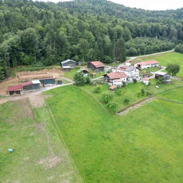 Ranzinger Hof, hotel en Waldkirchen