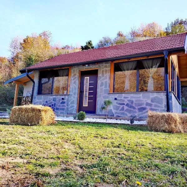 Imanje, hotel i Aranđelovac