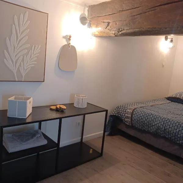Charmant Studio et Mezzanine de 38 m2, hotel v destinácii Châteaudun