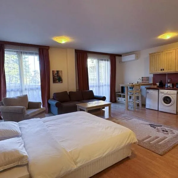 студио Пирин, Hotel in Raslog