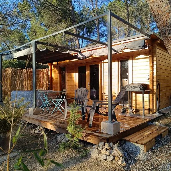Escapade sous les pins 20m2, hotel ad Aurons