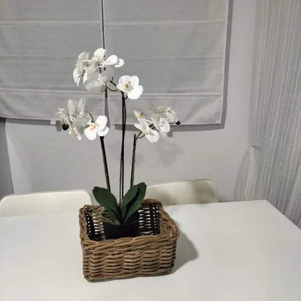 Alojamiento las Dunas alto, hotel in Tabernas