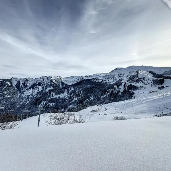 Ski1600 - GrandMassif, hotel a Samoëns