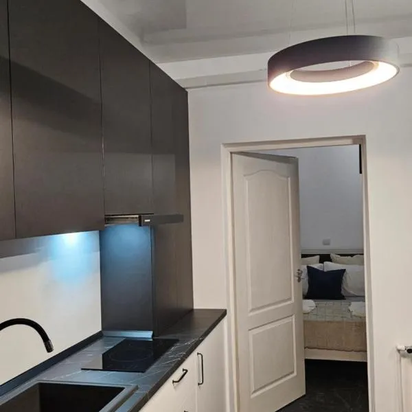 Studio Chic, Rezerva acum! Central, cafea, ceai, apa, parcare publica gratuita, baie cu cabina si cada, hotel en Craiova