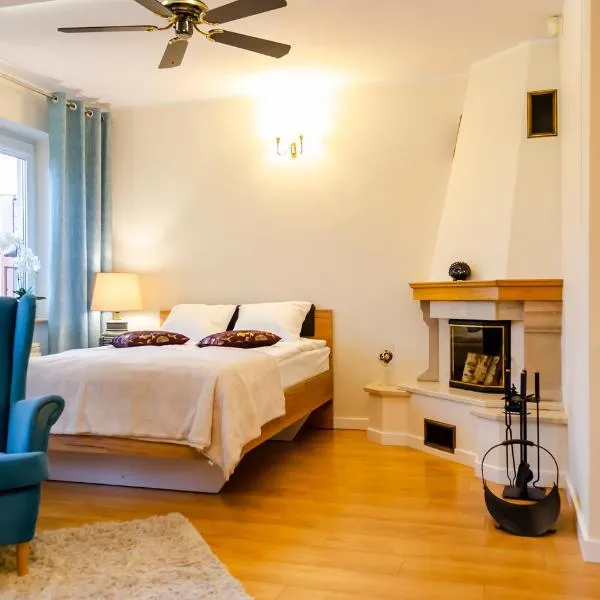 Apartament Deluxe, hotel in Płock