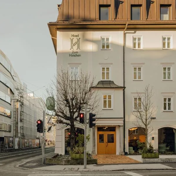 Design Apartments zum Hirschen, hotel v Salcburku