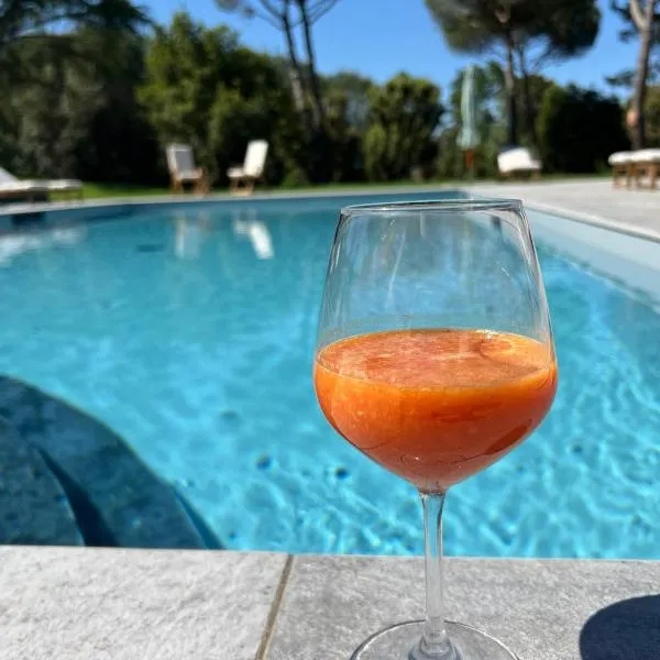 Podere Scoldasu - Nettuno, hotel in Massa Marittima