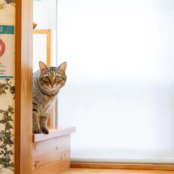 香川のゲストハウスFDroom, hotel in Takamatsu
