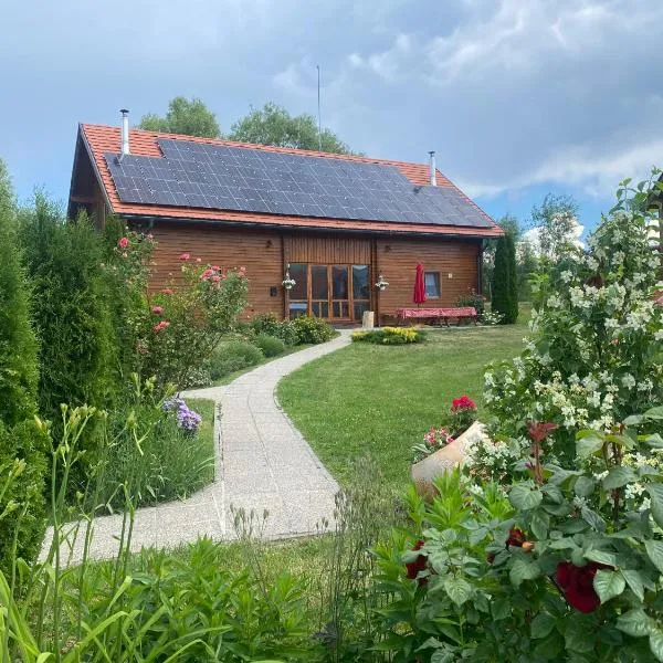 Nimfa Apartments、Păuleni-Ciucのホテル