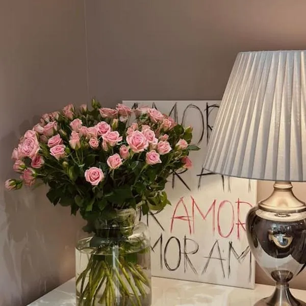 Studio FAMILY like home, hotel v destinaci Vilnius