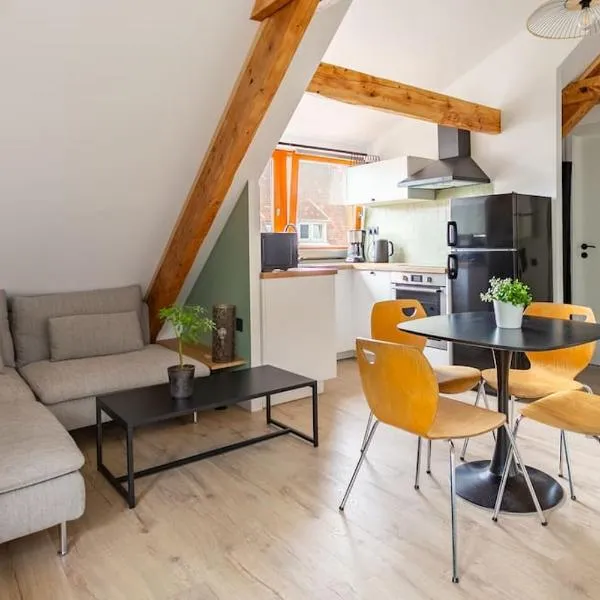 Le charme de l'ancien allié au contemporain, hotel in Schiltigheim