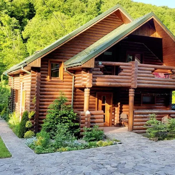 Заміський будинок "Wow дача" та "Soloma house", hotel in Sasivka