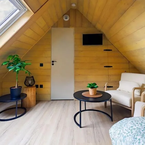 Le petit chalet du centre-ville, hotel in Strasbourg