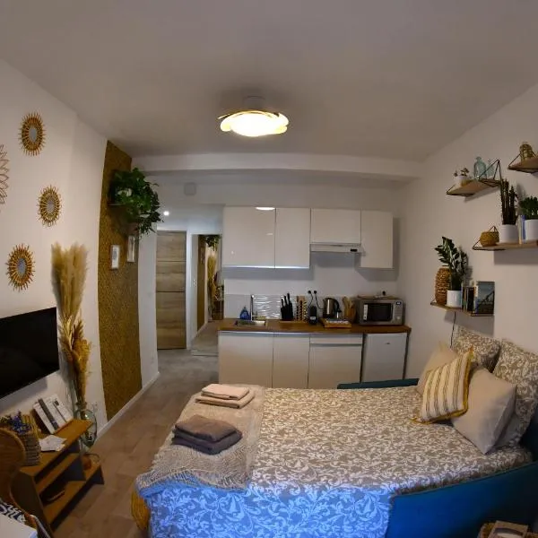 Studio Elégance Naturelle proche gare, khách sạn ở Voiron