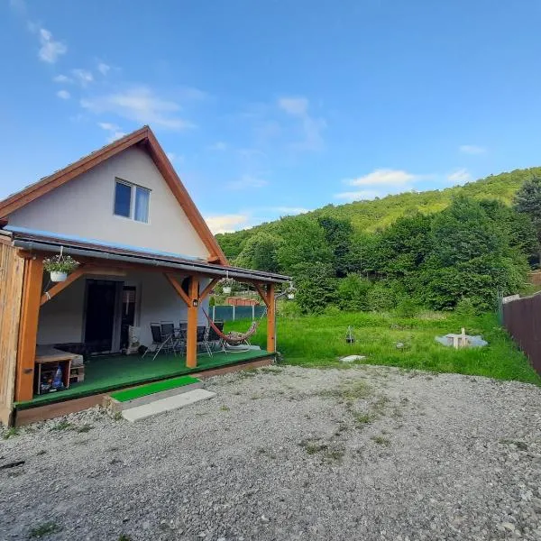 Mountain Cozy Home, hotel v destinácii Sub Cetate