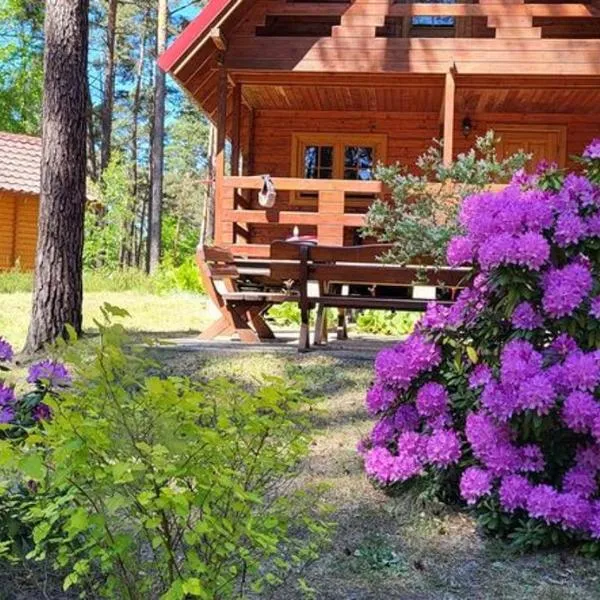 Perła, hotel v destinaci Stegna