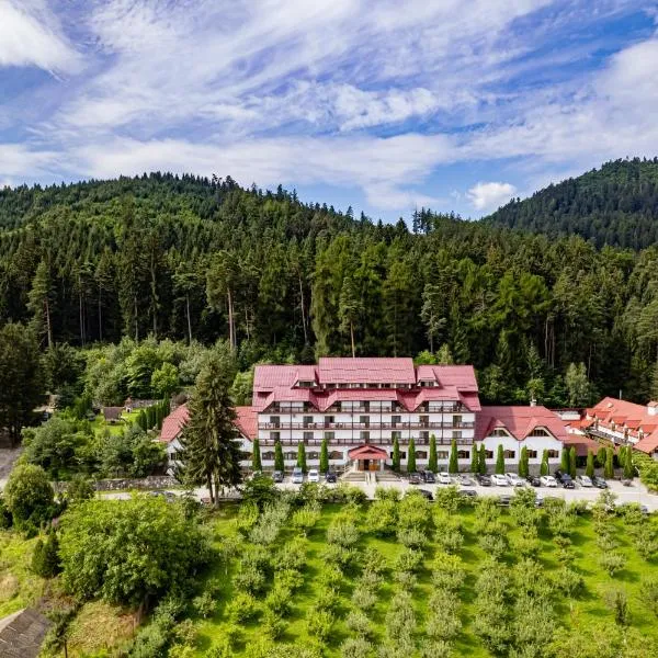 Q Resort and Spa, hotel in Săcele