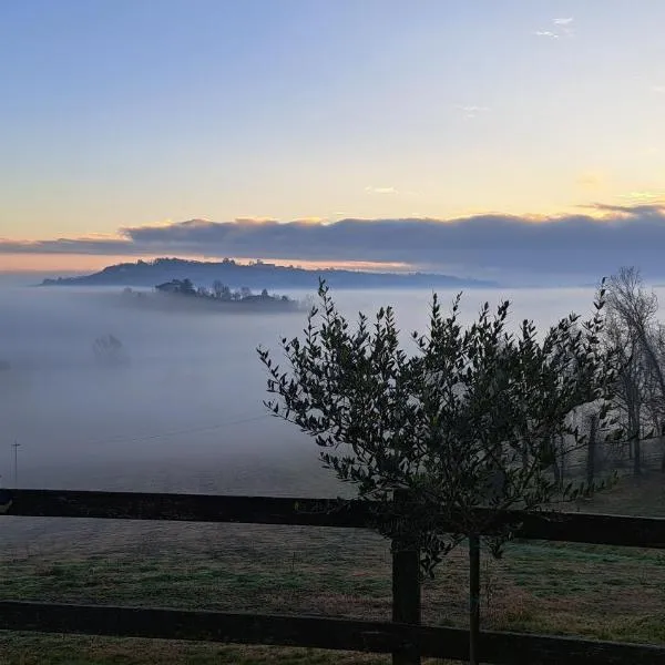 Cascina Fazioli B&B, hotel in Alfiano Natta