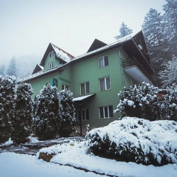 Pensiunea Limpedea, hotel v destinaci Baia-Sprie