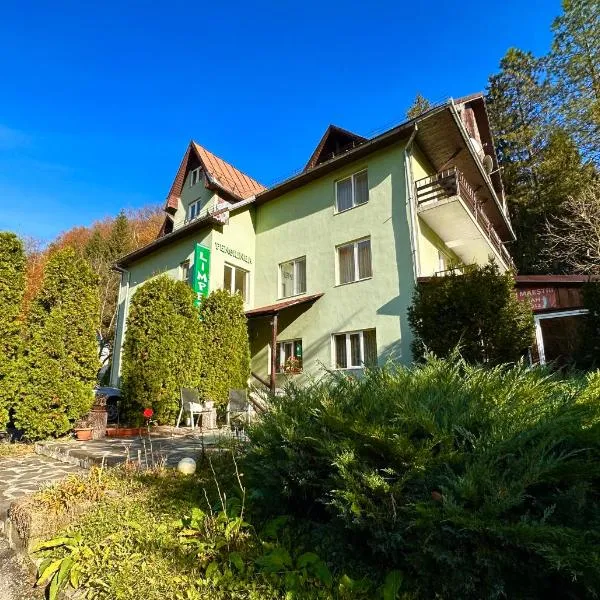 Pensiunea Limpedea, hotel v destinaci Baia-Sprie