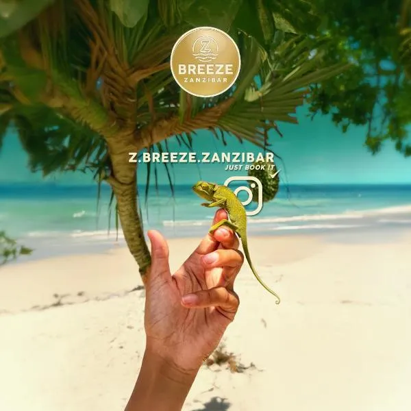 Z-Breeze Zanzibar, hotel v destinaci Kiwengwa