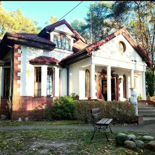 Willa Wiekowa Sosna, hotel in Zalesie Górne