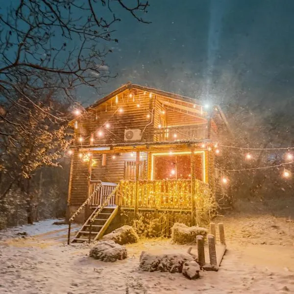 Villzone vila in Prishtina with big garden, hotel i Pristina