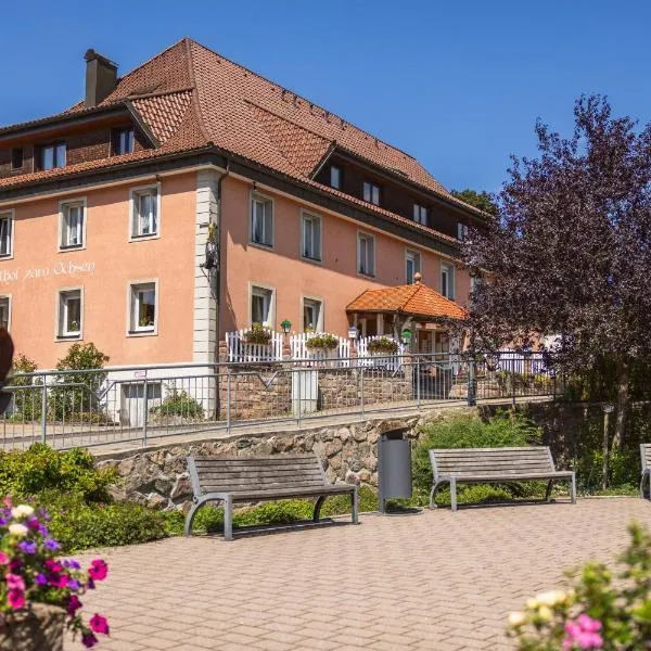 Gasthof zum Ochsen, hotel v destinaci Vöhrenbach
