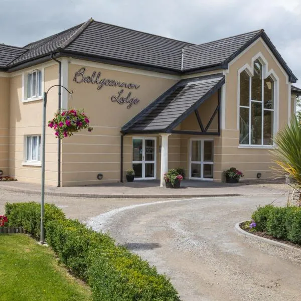 Ballycannon Lodge, hotel en Kilcornan