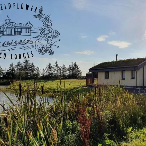 Wildflower Eco Lodges, hotel v destinaci Fraserburgh