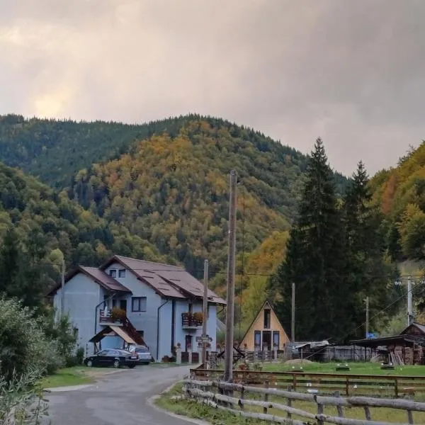 Cabana Acasă la Delia, hotel in Gîrda de Sus