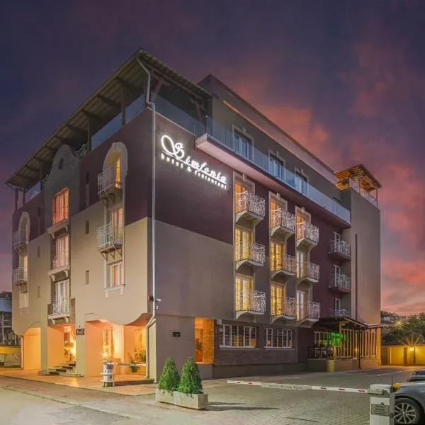 Simfonia Boutique Hotel, hotel v destinaci Râmnicu Vâlcea