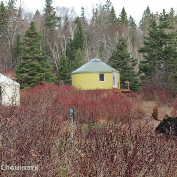 Yourtes Forillon - à 4km de marche 4km walk, hotel v destinaci Gaspé